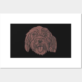 Cockapoo,Crazy, Chocolate Cockerpoo Posters and Art